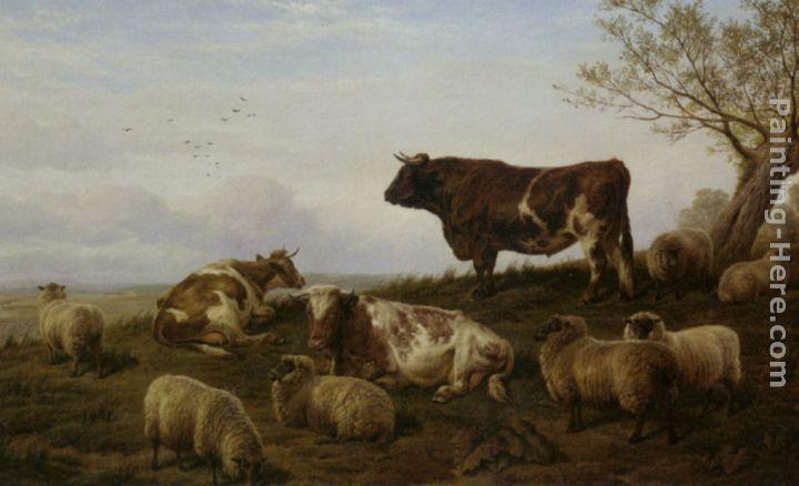 Charles Jones Cattle and Sheep Resting